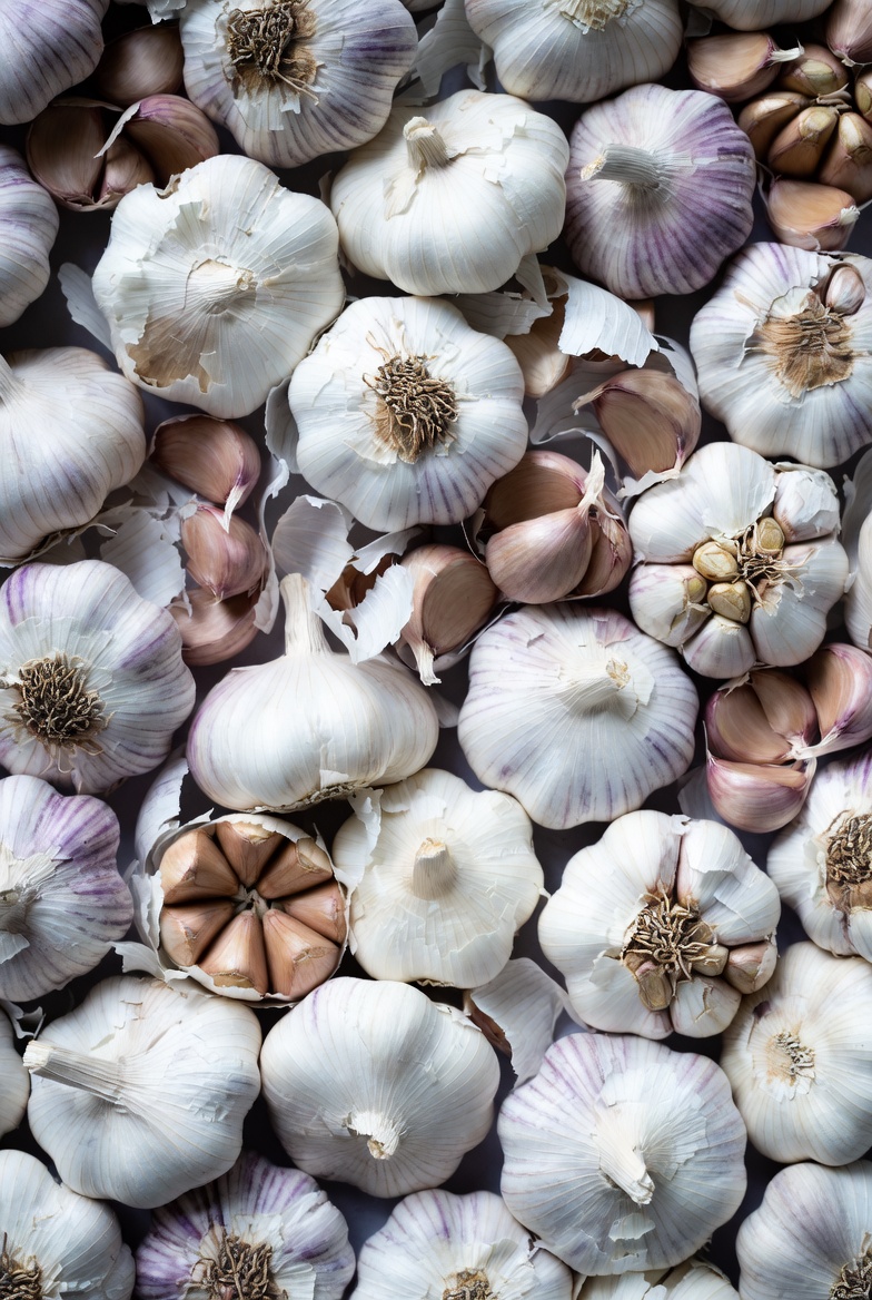 Garlic