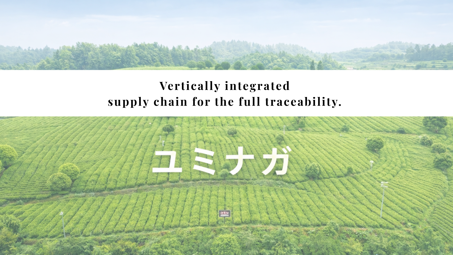 Yuminaga Foods — featured hero image 3