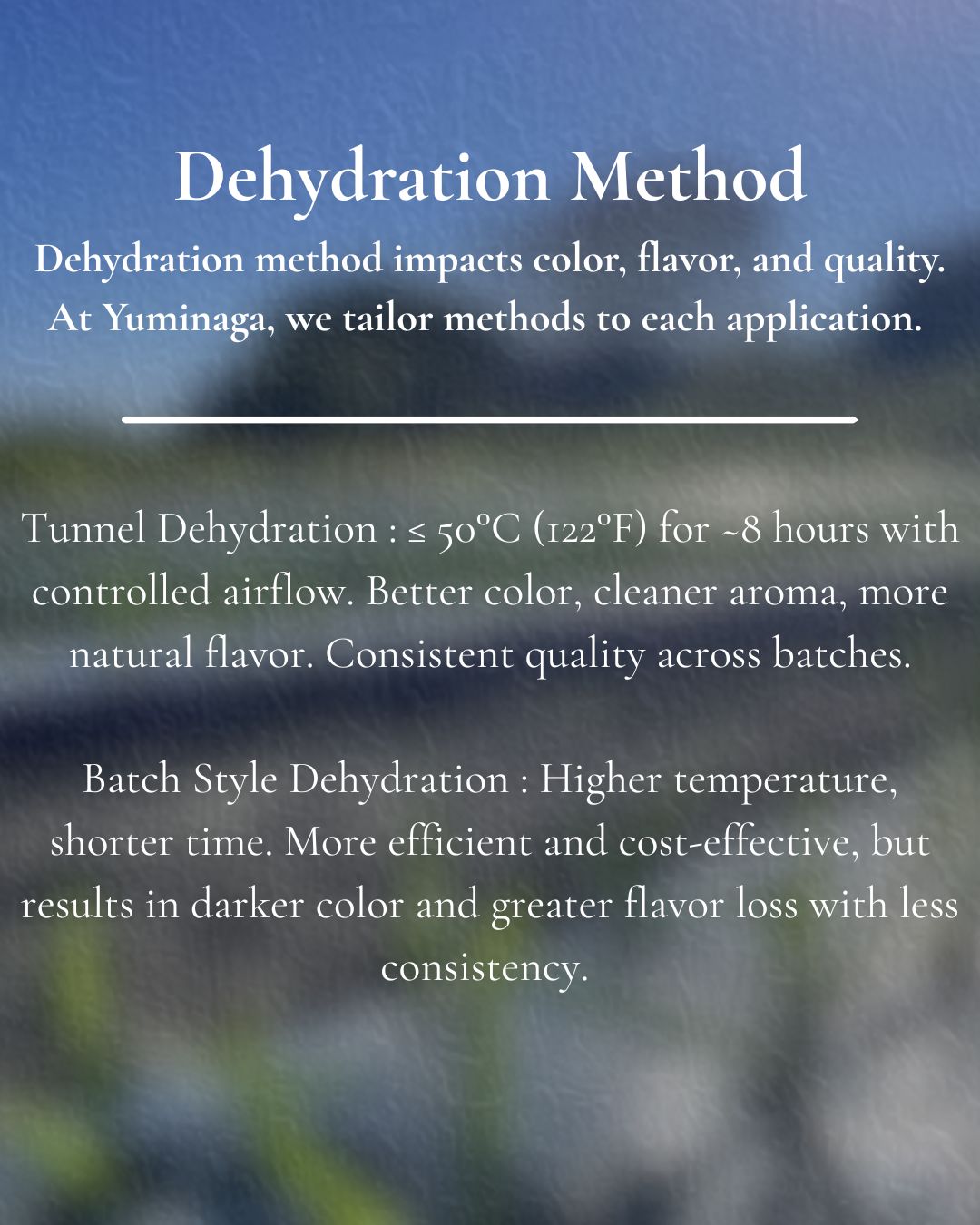 LinkedIn post photo 3