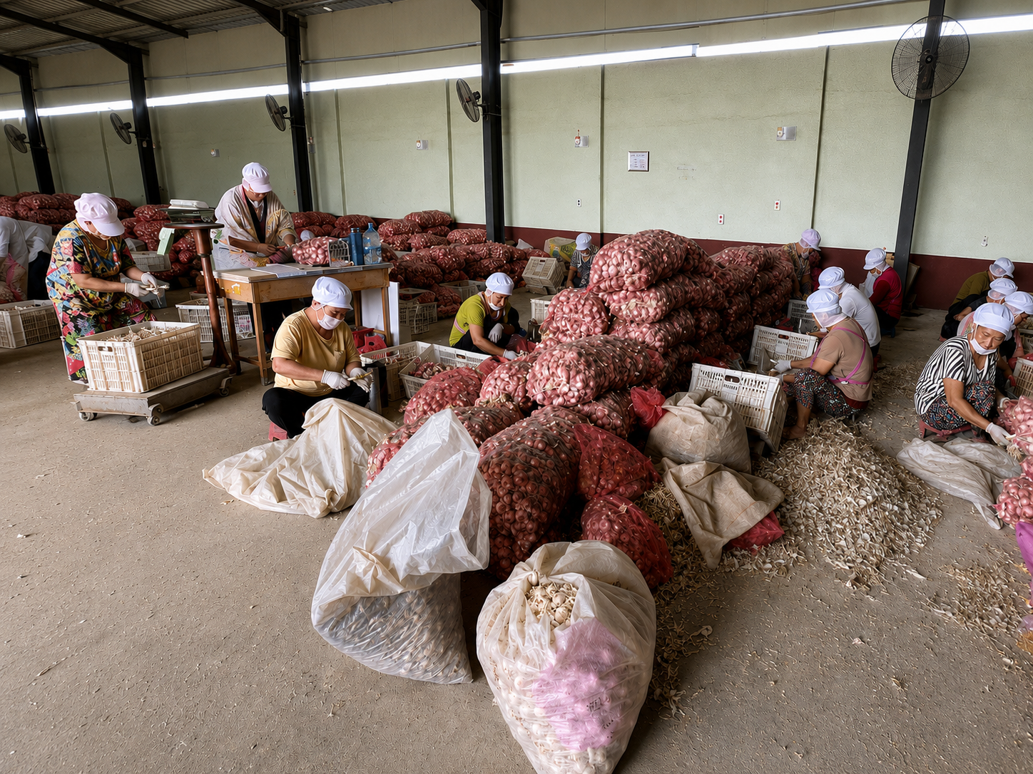 Garlic root cutting and skin removal at Yuminaga processing facility